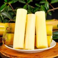 【西沛生鲜】云南特产新鲜黄金甘蔗 净重5斤 当季新鲜水果 口感清甜