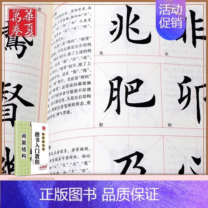 楷书入门教程 田英章著 升级版 四冊セット 楷书入门教程 田英章著 升级版 四冊セット
