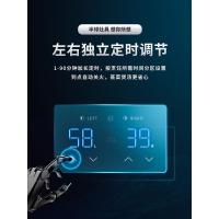 半球燃气灶台式嵌入式煤气灶双灶家用天然气液化气炉具节能猛火灶 旗舰聚能定时鸳鸯玻璃 液化气