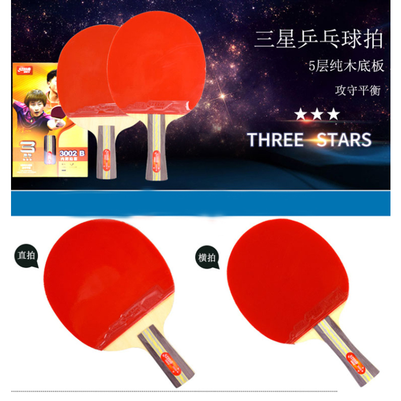 DHS/ 红双喜R3002B横拍双面反胶乒乓球拍(含拍套)