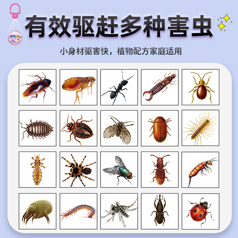 衣柜-植物趋避饼-薰衣草-40g-12个-zsj高清大图