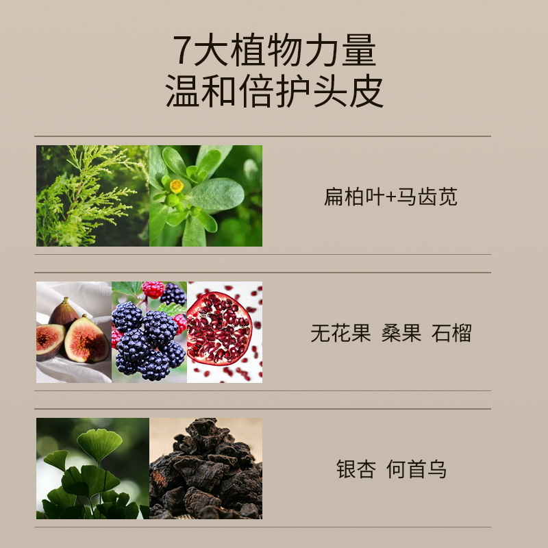 迷珂宝香草森林蓬松洗发水500ml精华洗发露清爽留香柔顺清爽清洁高清大图