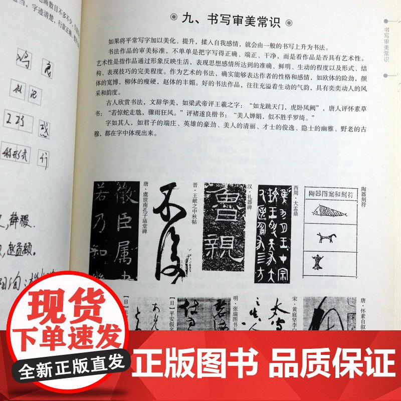 4册 中小学写字一本通·王羲之+颜真卿+欧阳询+赵孟頫 小学生青少年毛笔字入门初学者套装练字帖基本笔画间架结构正版书籍高清大图