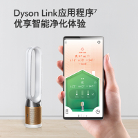 戴森(DYSON) TP06 除菌除甲醛空气净化风扇 整屋循环净化 兼具空气净化器功能 除菌除甲醛 白金色