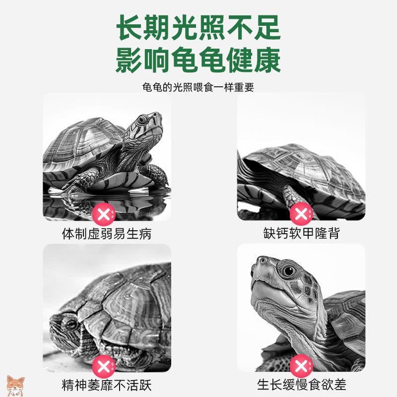 乌龟晒背灯全光谱龟灯补钙专用uva灯加热灯爬宠uvb灯取暖龟背晒灯图片