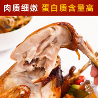 [拍一发二]农谣 农家土鸡 约900g/只 童子鸡嫩鸡 生鲜 白斩鸡 非老母鸡 新鲜鸡肉 实发2只 顺丰直达