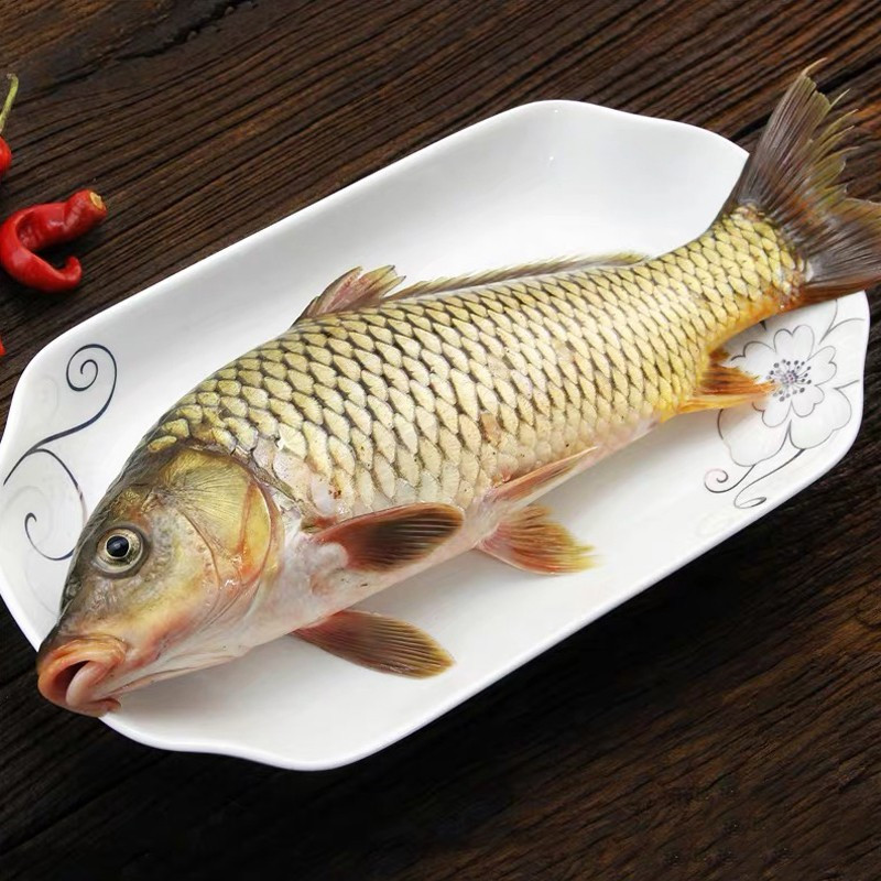 鲤鱼500g视频介绍_鲤鱼500g功能演示视频-苏宁易购