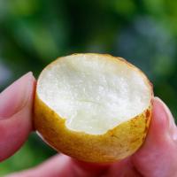 [五个农民]陕西大荔冬枣4斤礼盒精品装中秋佳礼顺丰发货