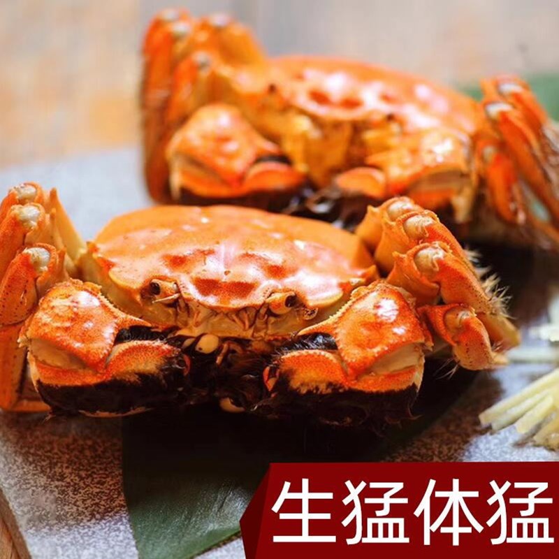 餐中王清水大闸蟹公33两36两全公蟹鲜活大闸蟹公螃蟹大公蟹8只装参数