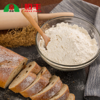 河套全麦粉 全麦面粉含麦麸皮 家用小麦粉5kg
