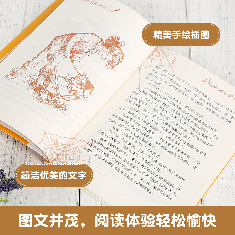 夏洛的网 [正版]夏洛的网书籍小学三年级课外书阅读任溶溶翻译8-10-15岁儿童文学二四五六年级书籍非注音版原版夏洛特的