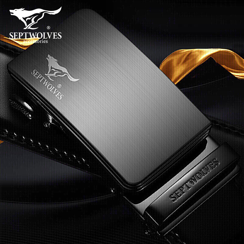 七匹狼(SEPTWOLVES))腰带M73821A339-01高清大图