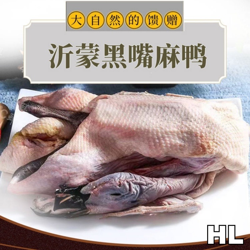 清美精选家禽组合458型B高清大图