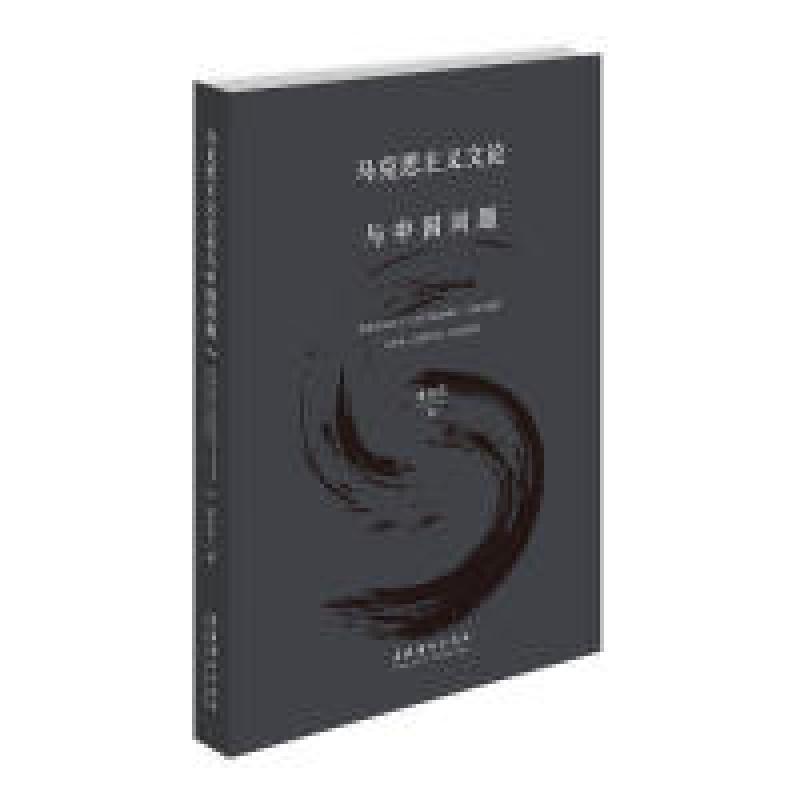 正版新书]马克思主义文论与中国问题金永兵9787503966842高清大图