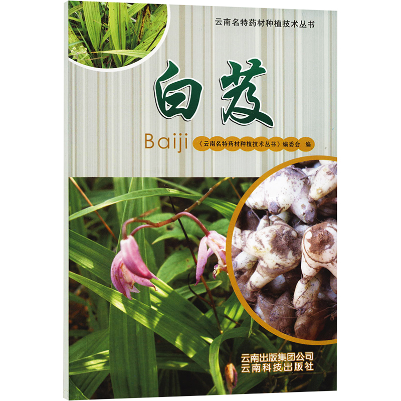 【M】白芨-9787541672781