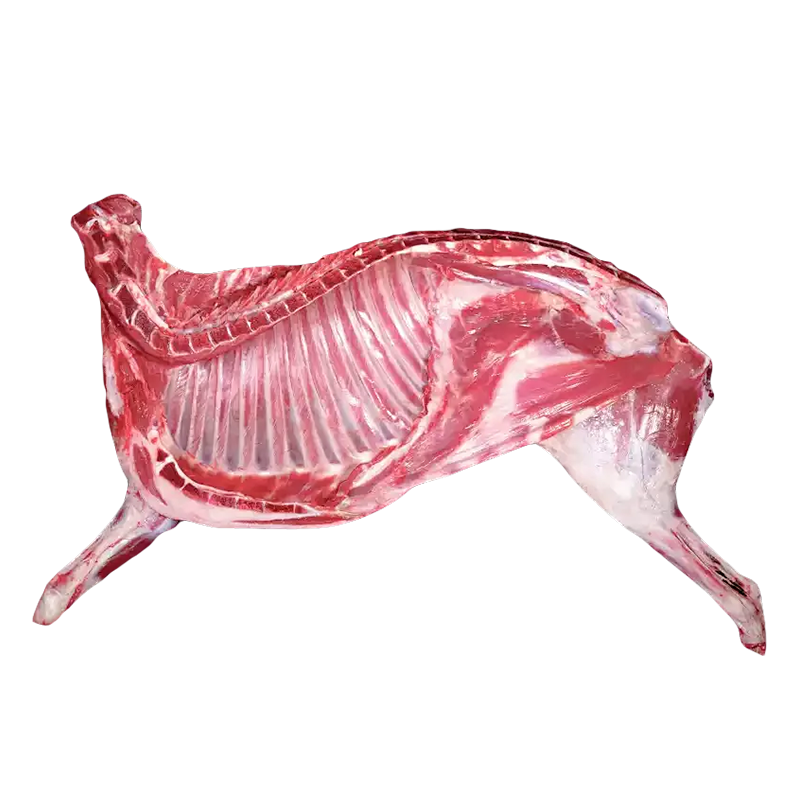 鲜飨 内蒙原切草原羊肉1388半羊礼 5kg