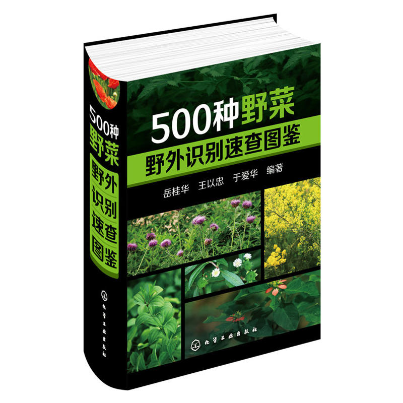 1500种中草药野外识别彩色图鉴 [正版]野菜图鉴大全500种野菜野外识别速查图鉴中国野菜野果植物菌类图鉴图谱一本通高清大图