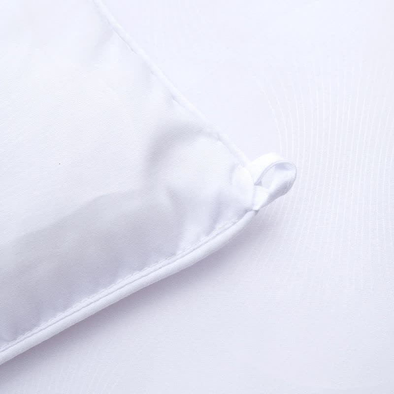 水星家纺 春秋被四季被被子被芯 抗菌四季被 杜桑 200×230cm LS图片