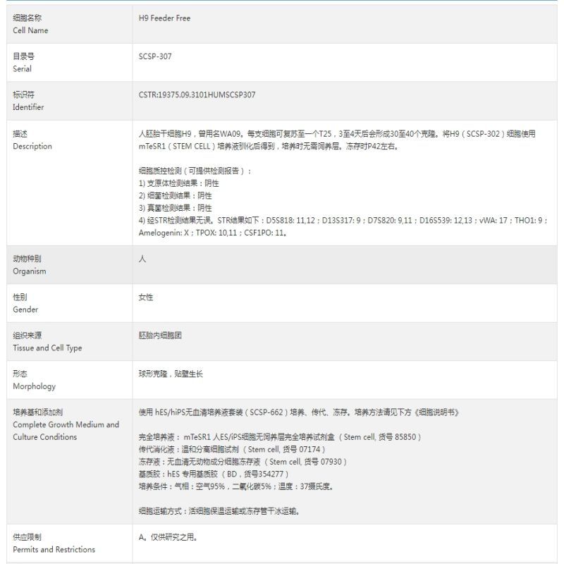 CEMC H9 Feeder Free 人胚胎干细胞H9(无饲养层) SCSP-307
