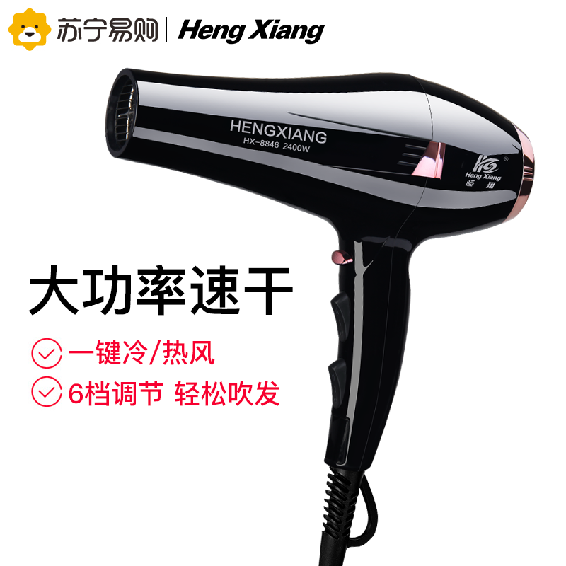恒翔(Heng Xiang)电吹风机HX-8846 2400W大功率 6档冷热风调节 过热保护 恒温护发 家用发廊吹风筒