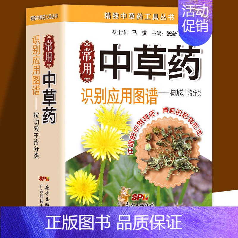 常用中草药识别应用图谱-按功效主治分类 【正版】常用中草药图谱手册大全书籍 一分钟速查中草药全图鉴 识别应用图谱手绘本
