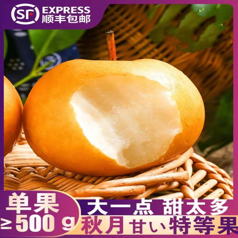 [Super会员推荐]佳农山东精品秋月梨礼盒装3.5kg整箱 清甜大梨时令新鲜水果1
