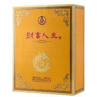 五粮液财富人生金钻(2瓶)500ml*2