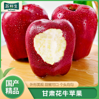 【西沛生鲜】甘肃花牛苹果蛇果甜美可口 净重4.5斤 特大果 果径80-85mm 新鲜当季水果