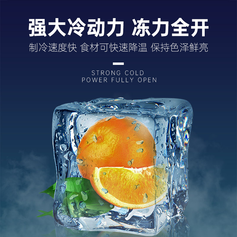 998单温机械温控妮雪卧式冷柜冰柜商用大容积超市冷柜肉类两用冷冻保鲜柜卧式冷柜冰柜商用高清大图