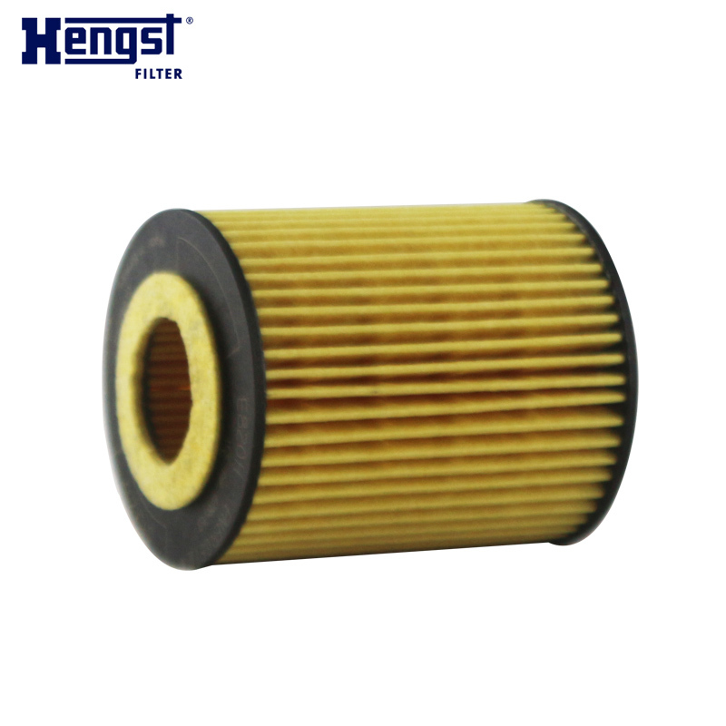 汉格斯特(hengst)机油格滤清器纸芯E820H D245适用于新款宝马114i 116i 118i 316Li