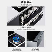 [天天低价]先科SAST/T6-1 升级款 液化气 小户型家用一机多用集成灶 强劲吸力 智能触控 顶部温菜 消毒柜套装