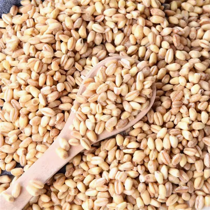 甄选新货小麦仁100克带胚芽去皮小麦粒煮粥杂粗粮家用9260高清大图