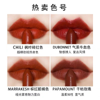 魅可(MAC)316#DEVOTED TO CHILI柔雾小辣椒口红枫叶砖红 显色丰润唇膏女士子弹头口红3g