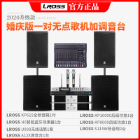 LROSS KP615专业大型舞台音响套装 演出大功率KTV婚庆会议远程全频落地无源音箱全套设备