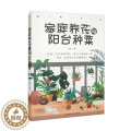 【醉染正版】DJ 品味生活家庭养花与阳台种菜 9787557890254 吉林科学技术 术