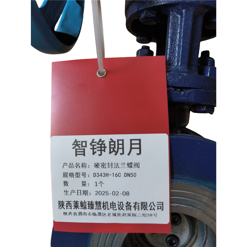 智铮朗月 硬密封法兰蝶阀 D343H-16C DN50 个高清大图