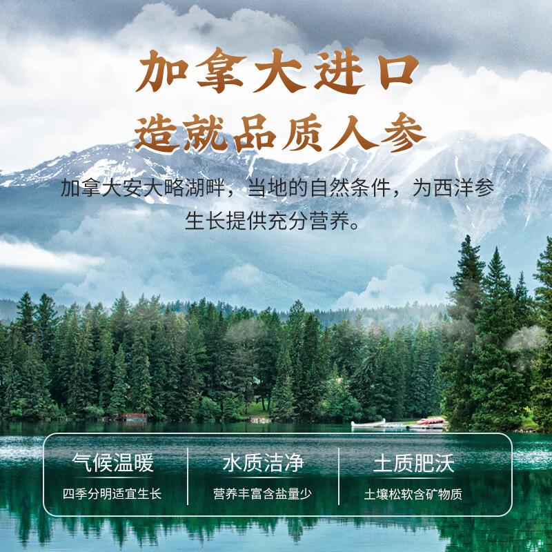 雷允上西洋参片 加拿大进口花旗参片 人参皂苷西洋参含片90g(30袋)1.8-2cm