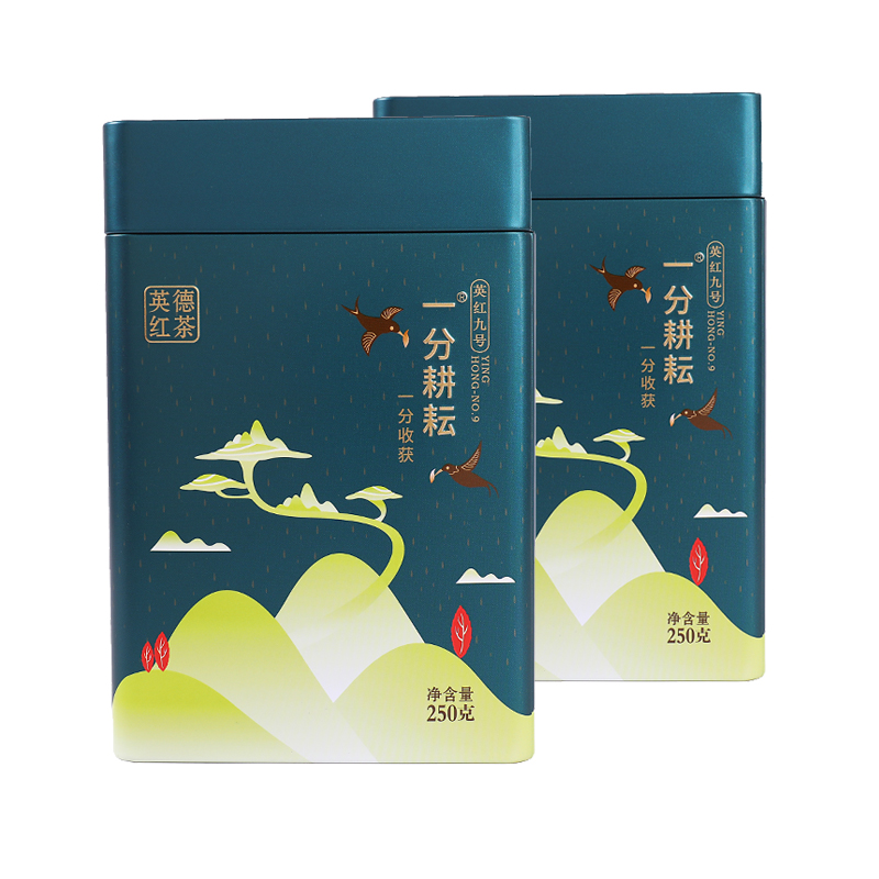 一分耕耘 英德红茶 商务礼盒罐装 英红九号茶叶 功夫红茶一级 500（2罐绿色，送杯子）