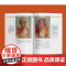 油画入门系列2册 油画的光与色经典版写实油画入门 西方经典美术技法译丛 美术自学入门基础知识上海人美出版社另有油画风景入