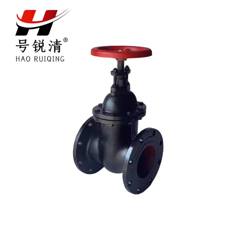 号锐清铸铁法兰闸阀 DN200 个高清大图