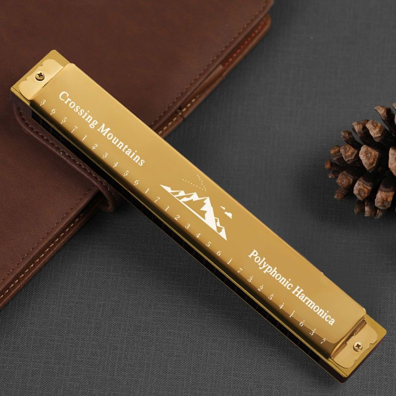 天鹅口琴初学者小学生24孔复音c调儿童入门专用风正品28男士乐器