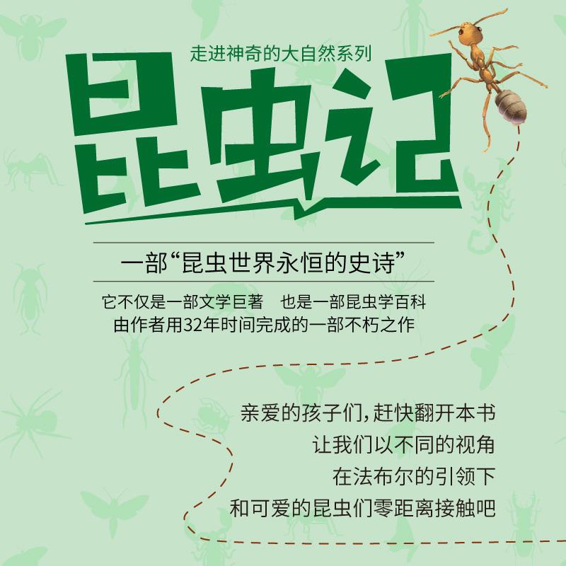 昆虫记:彩绘版:全6册 [正版]昆虫记全套6册彩绘版6-12岁儿童阅读世界名著自然百科四五六年级课外阅读书籍自然百科课外高清大图