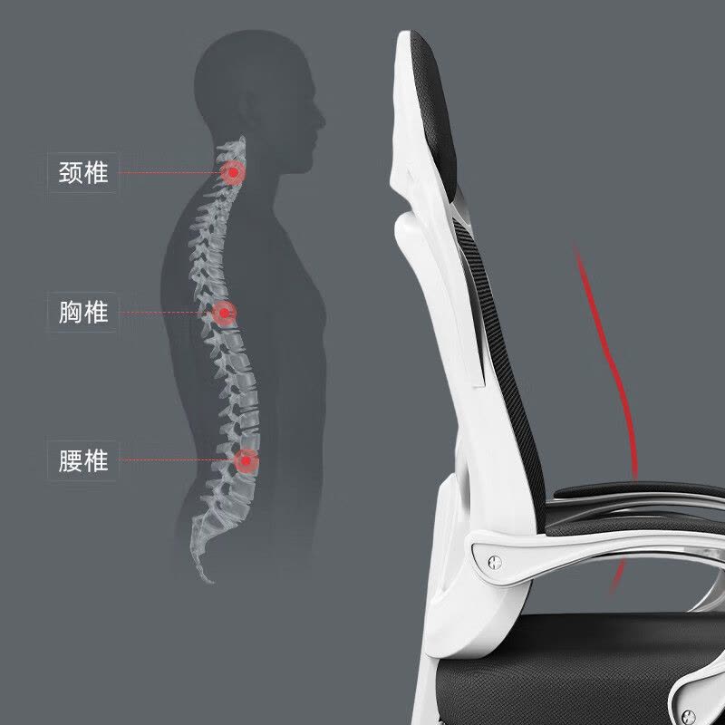 中伟(ZHONGWEI)DNY-3-02电脑椅午休椅办公椅子人体工学椅转椅网椅职员椅子白框带搁脚图片
