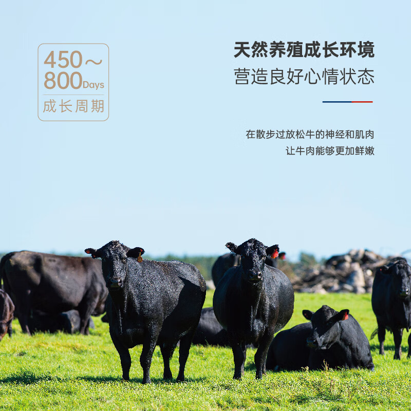澳益多澳洲进口牛排礼盒(248型)高清大图