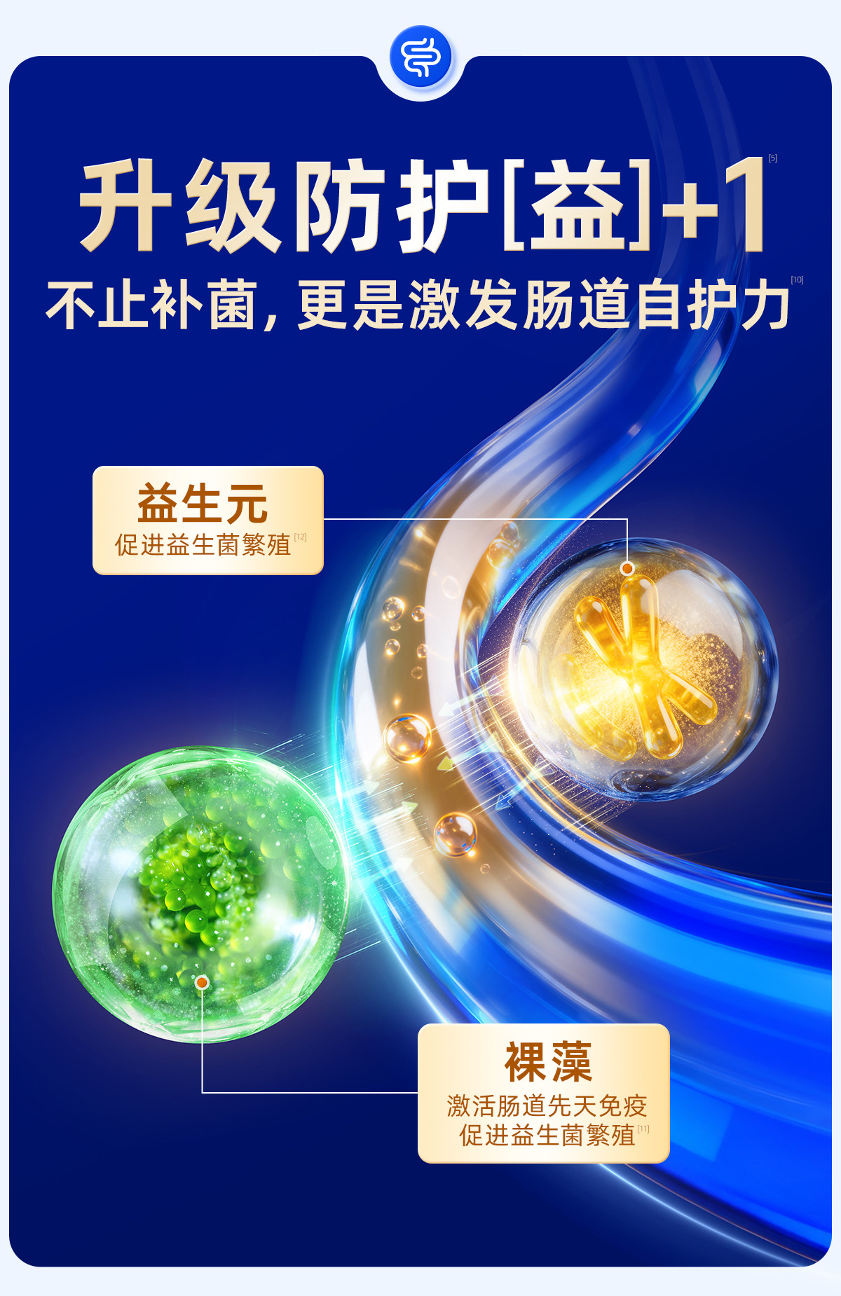 vetwish唯特适宠物益生菌 犬用30粒高清大图