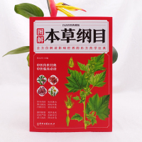 [醉染正版]本草纲目 正版李时珍 全彩图解白话文典藏版 中医基础理论中医书籍大全经典药方医药大全养生中草药全图鉴倪海厦