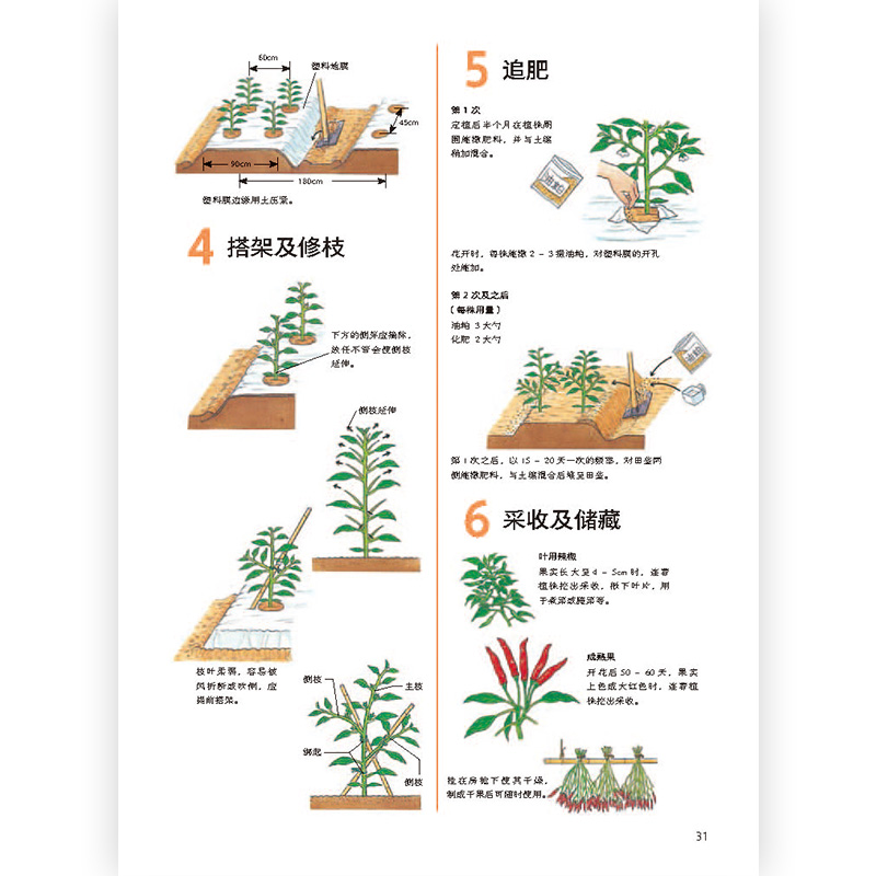[正版]书店 种菜教室 彩色插图园艺家庭菜园种植生活百科书籍高清大图