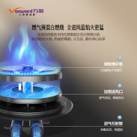 万和[龙燚火] JZT-Q3L03Q 天然气燃气灶 5.2kW大火力双眼灶 钢化玻璃台嵌两用一级能效 嵌入式台式
