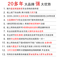 奔腾(BNTN)家庭音响KTV音响 家庭影院套装 卡拉OK 会议专业音箱大功率功放 8150配BTKT10