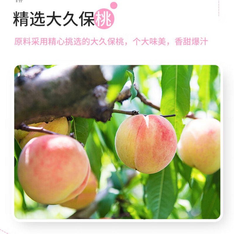 佳果源蜜桃复合果汁200ml*24 佳果源苹果汁200ml*24 果汁组合NT高清大图